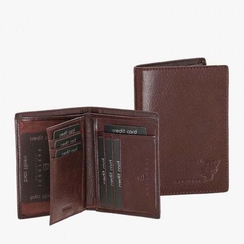 43-171-1649-brown-3-56-13316